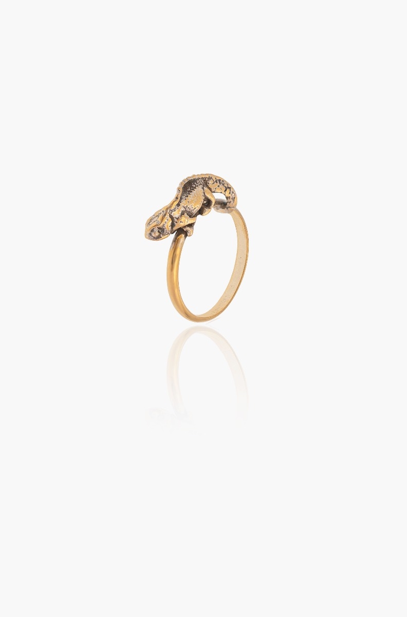 Brookesia Nana Ring 0
