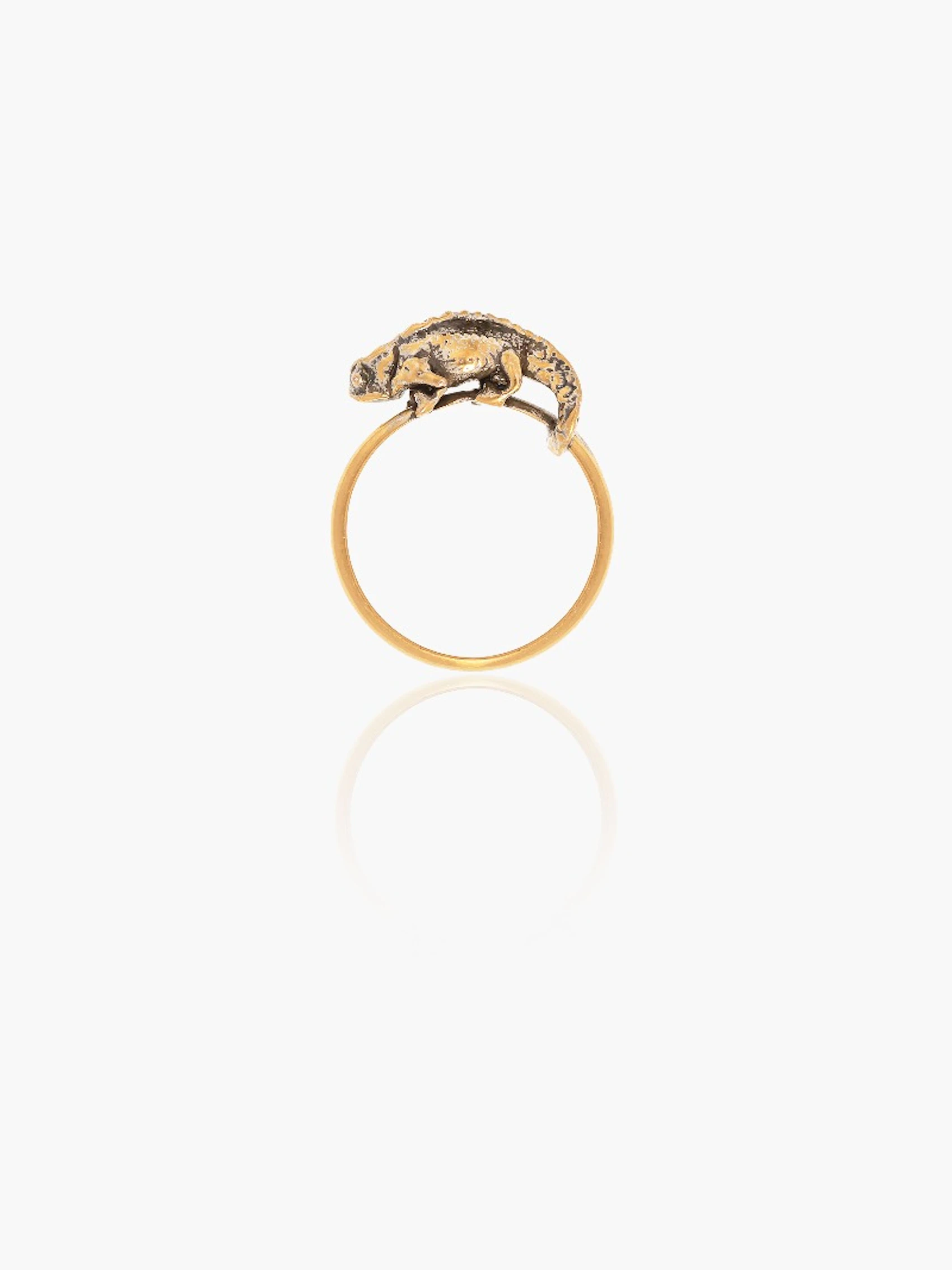 Brookesia Nana Ring 5