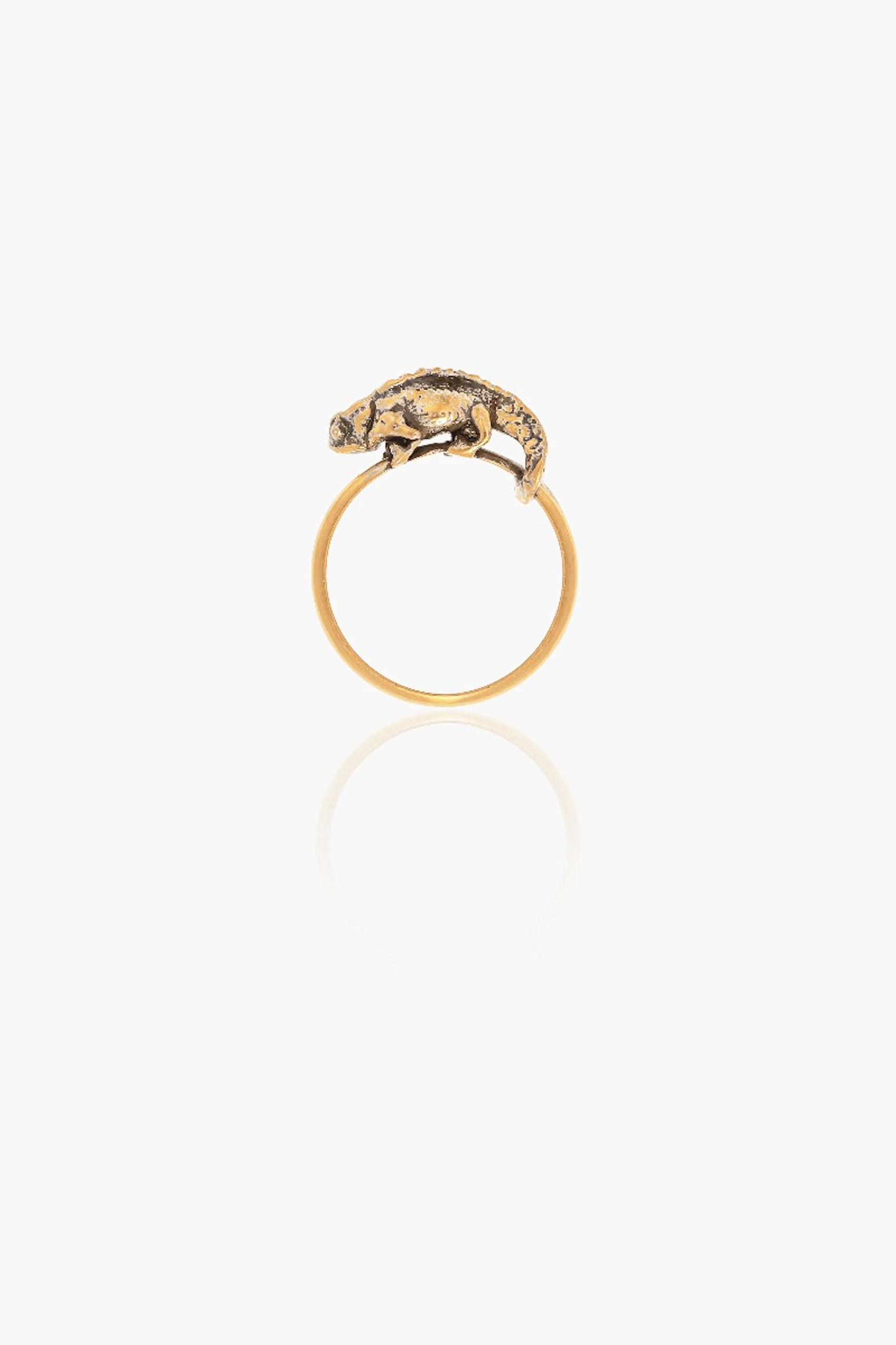 Brookesia Nana Ring 5