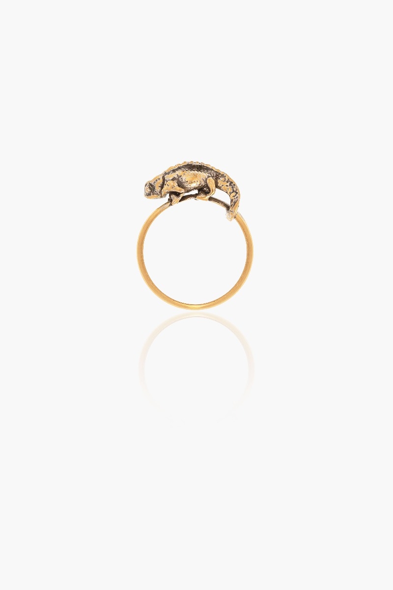 Brookesia Nana Ring 5