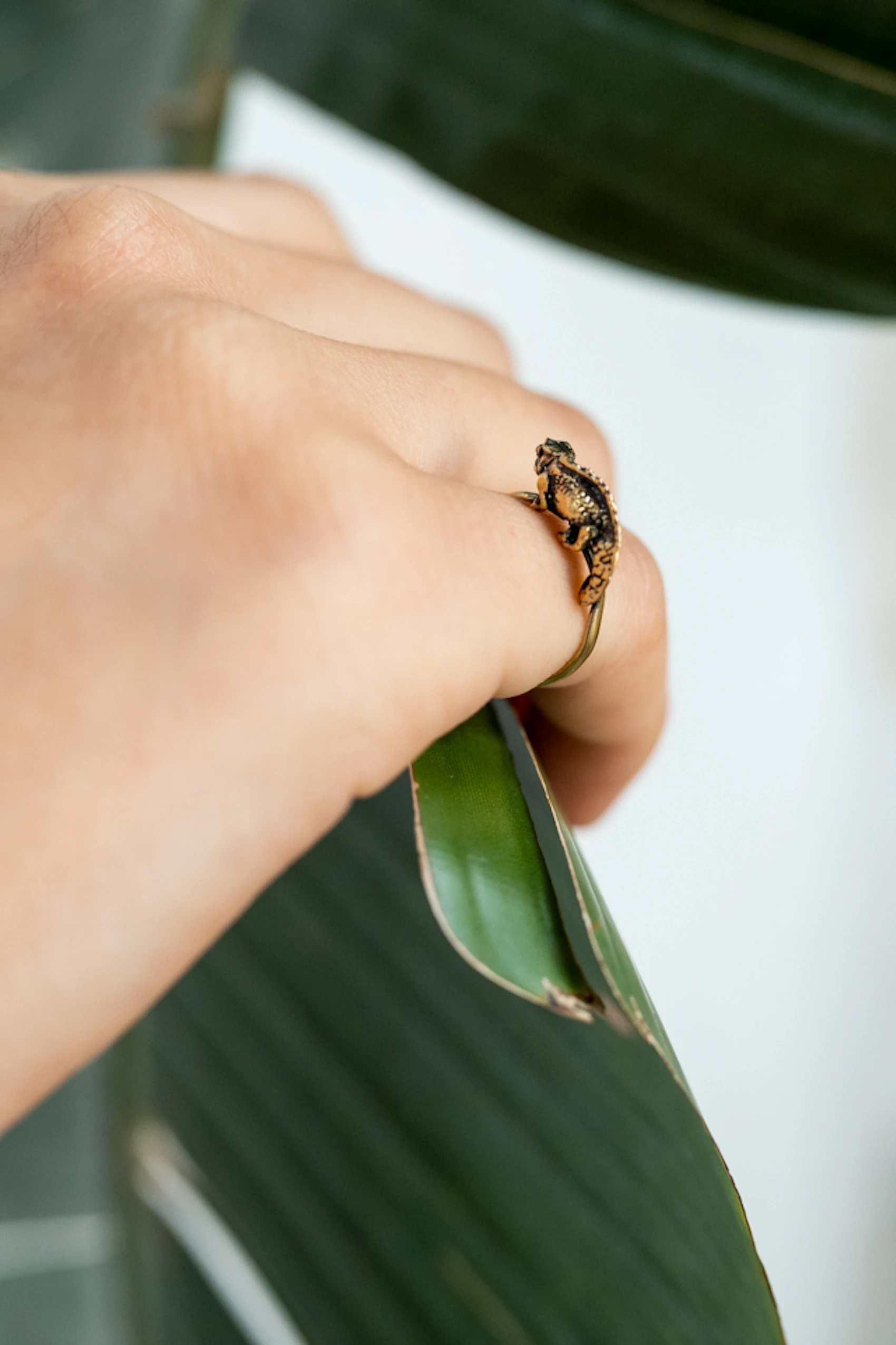 Brookesia Nana Ring 1