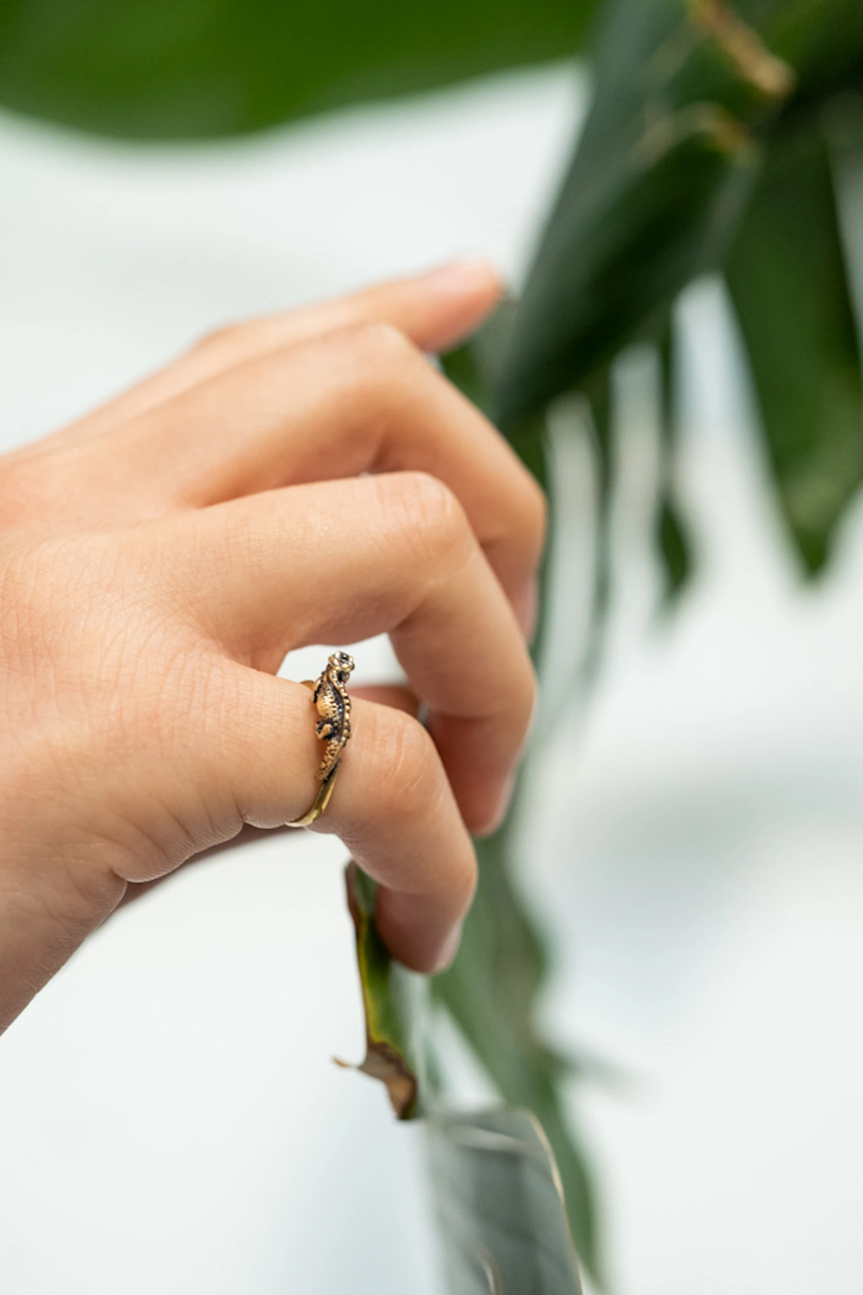 Brookesia Nana Ring 7