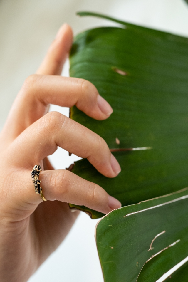 Brookesia Nana Ring 4