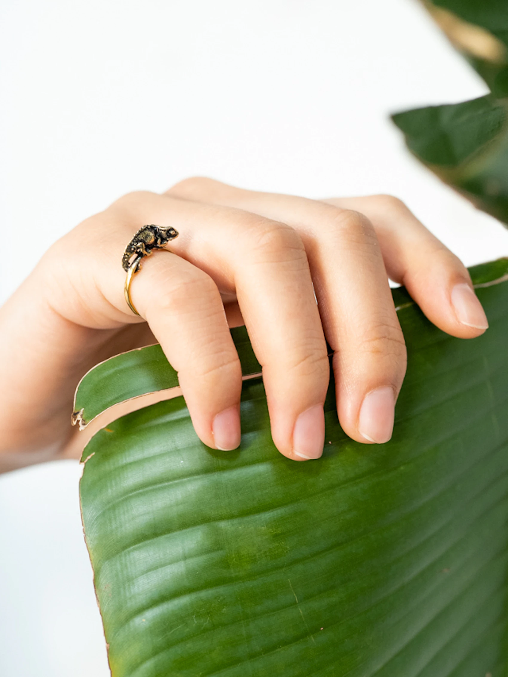 Brookesia Nana Ring 7