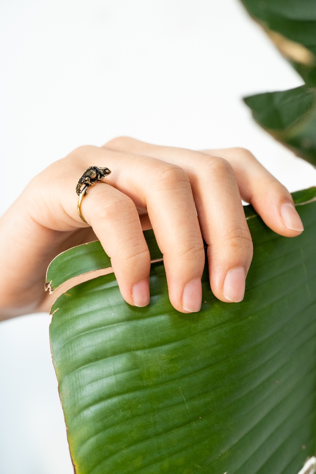 Brookesia Nana Ring 8