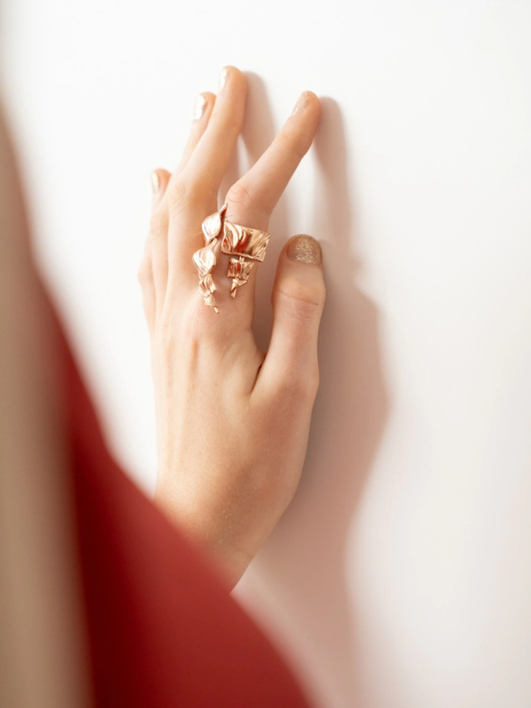 Anillo Vela 1