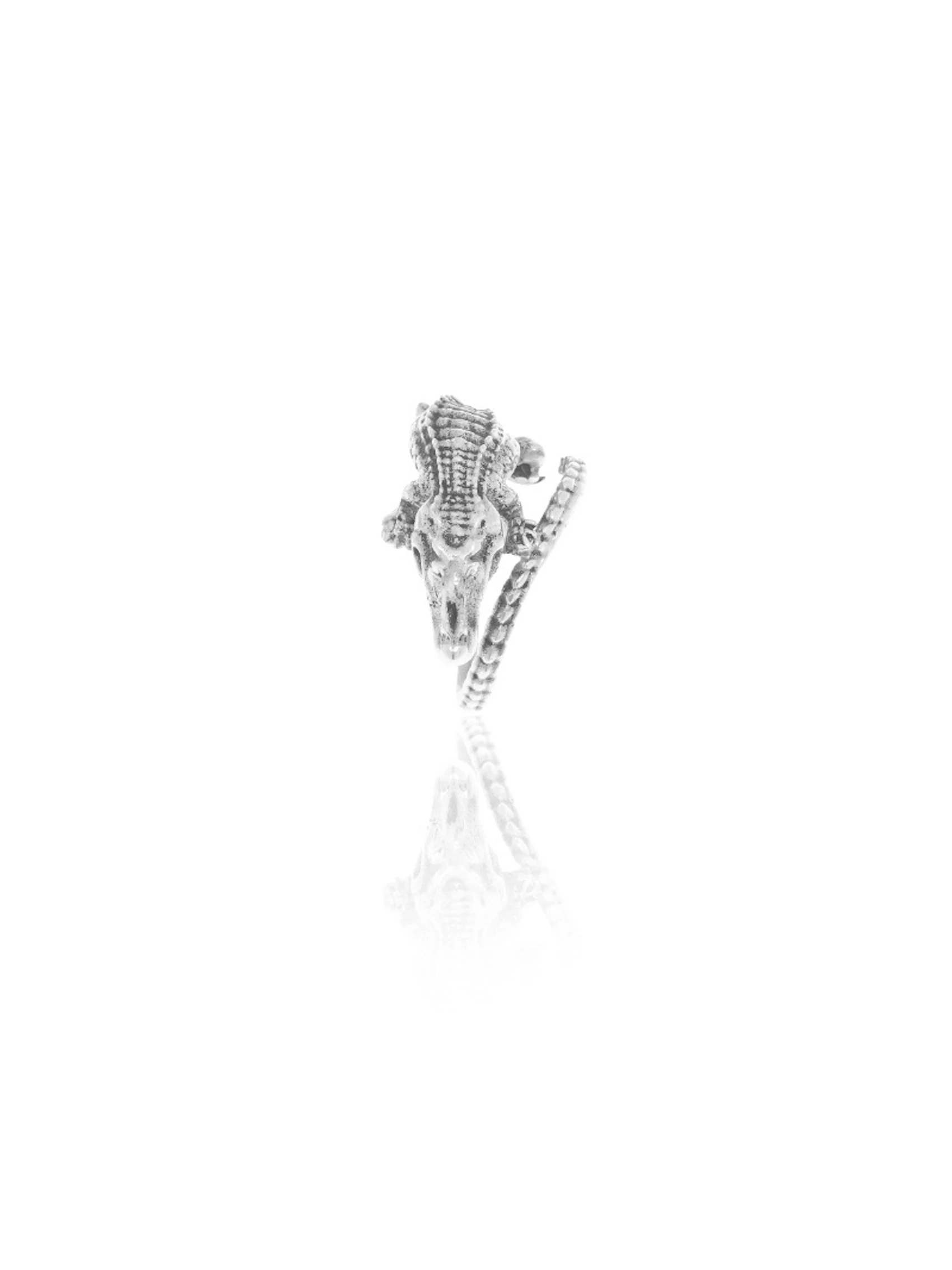 Charm Coco Plata 0