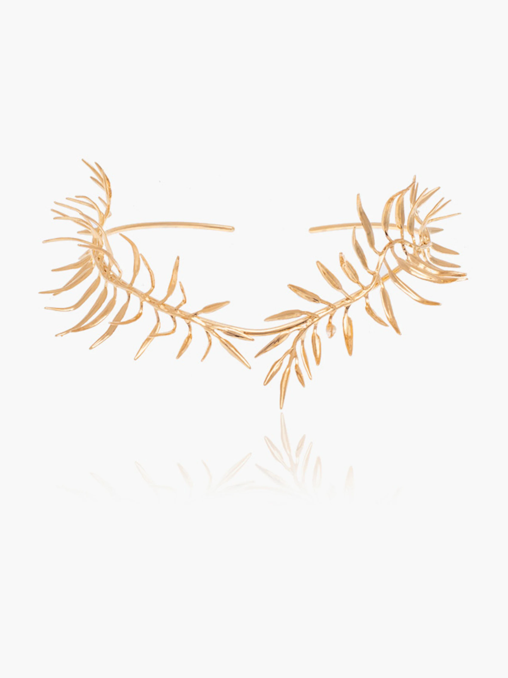 Ferns Choker 1