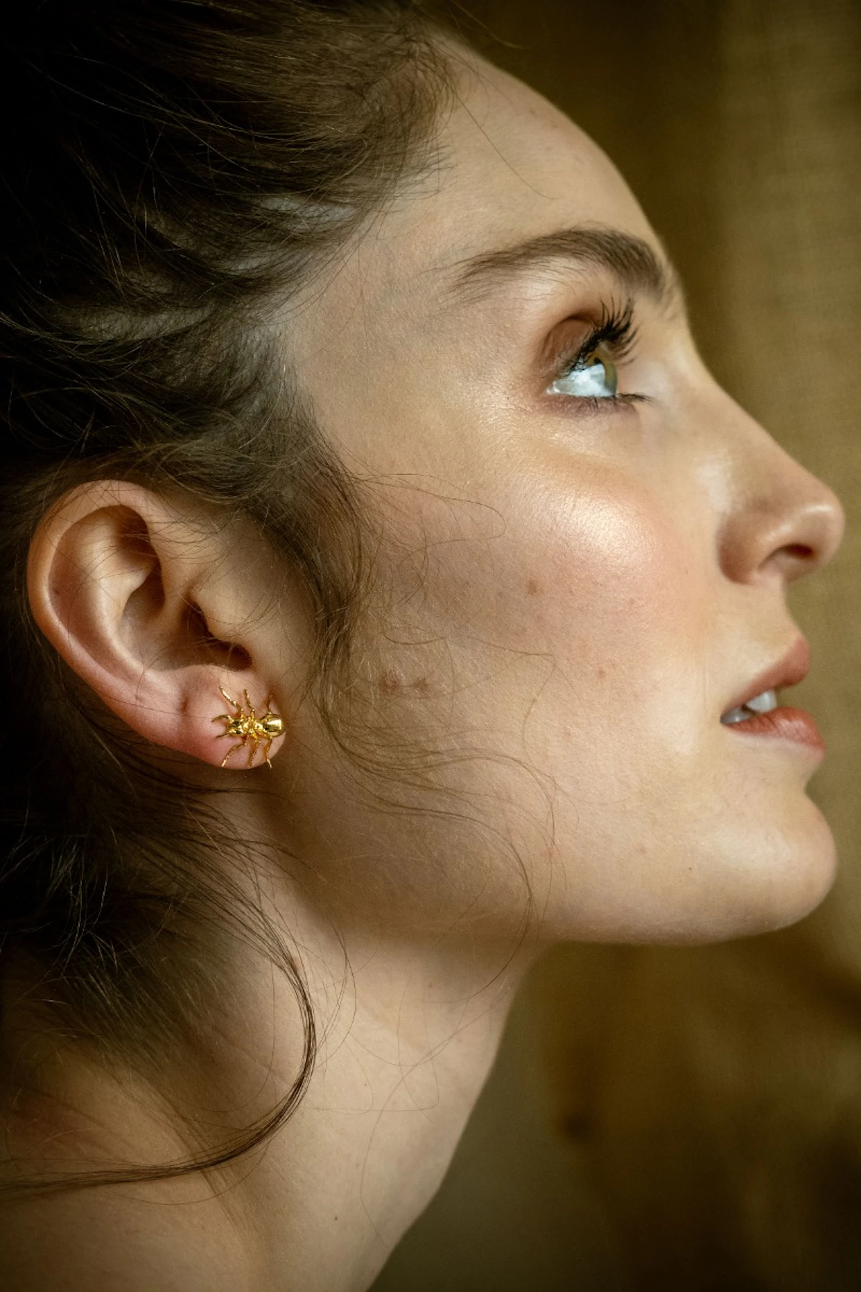 Ants Earrings  1