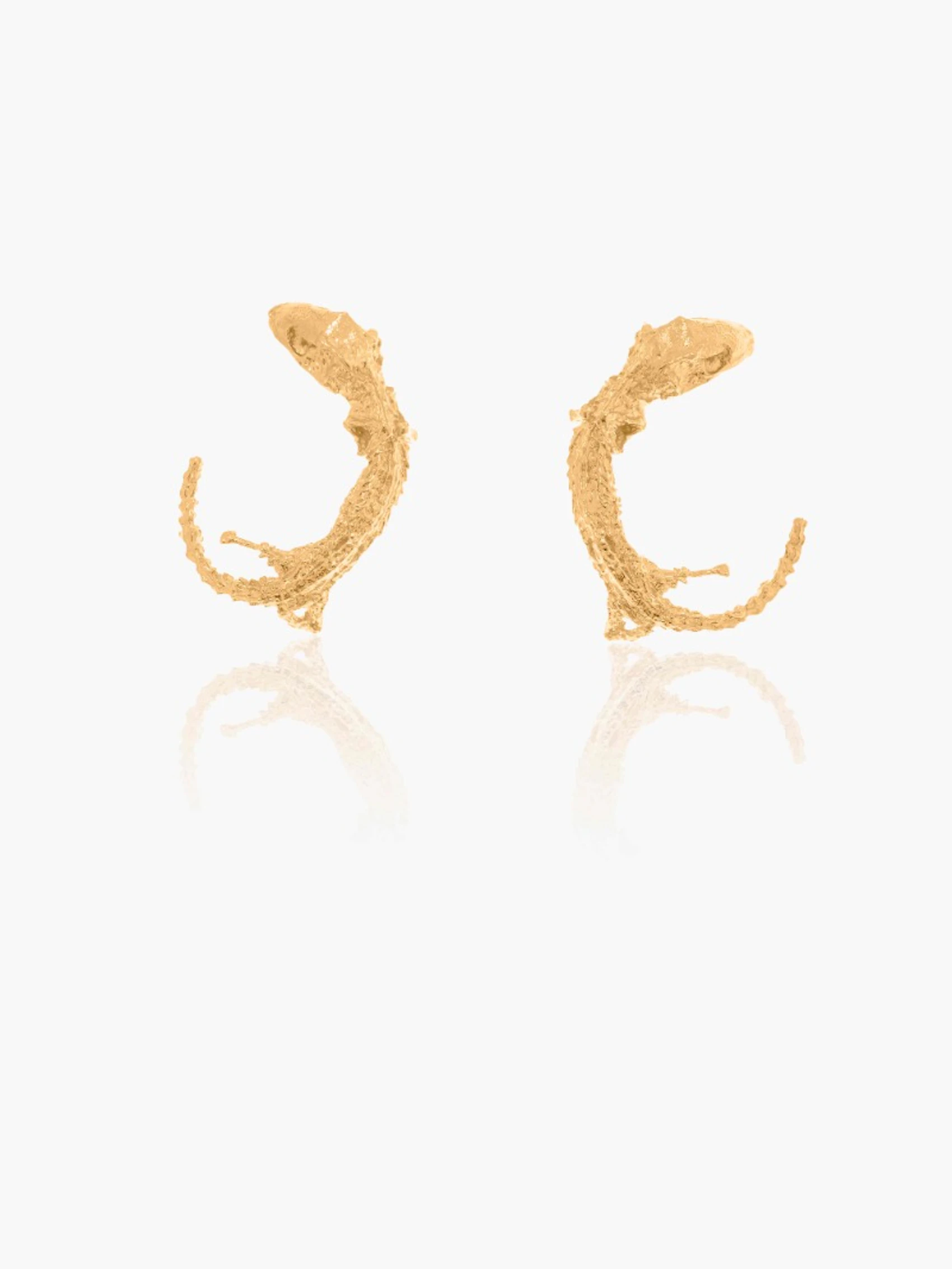 Isidora Hoops 1