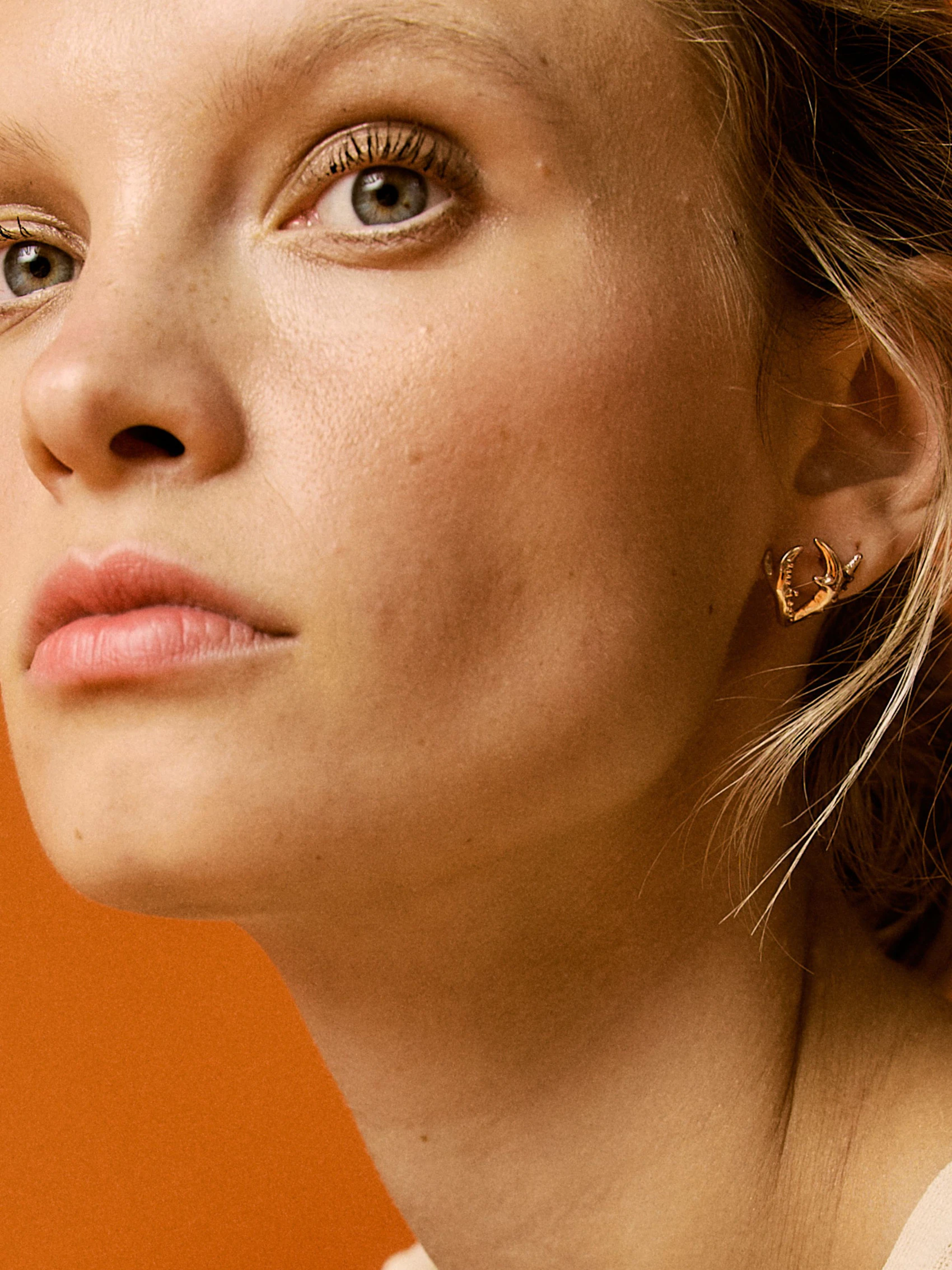 Rose Lucanus Cervus Earrings 4