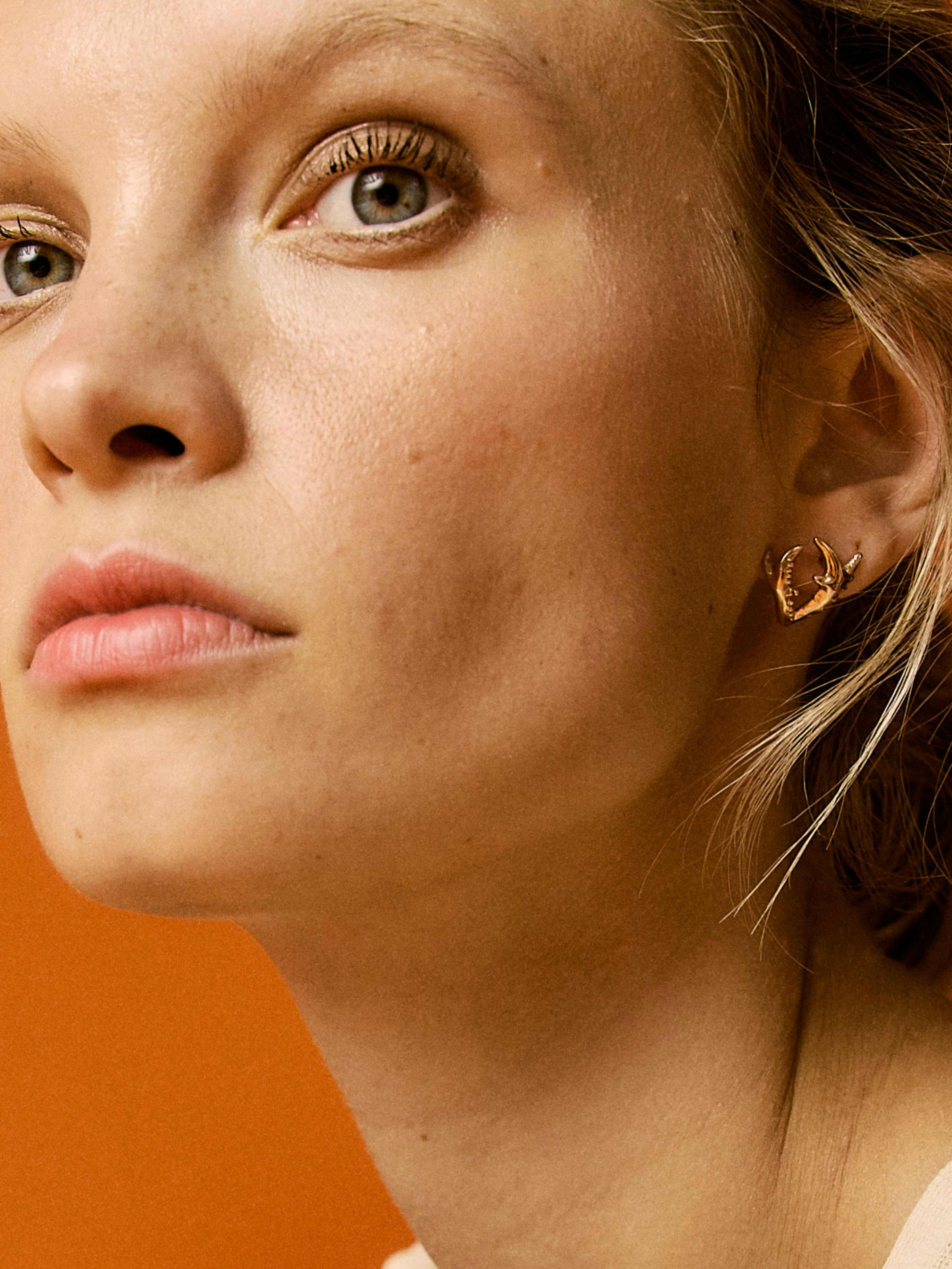 Rose Lucanus Cervus Earrings 4