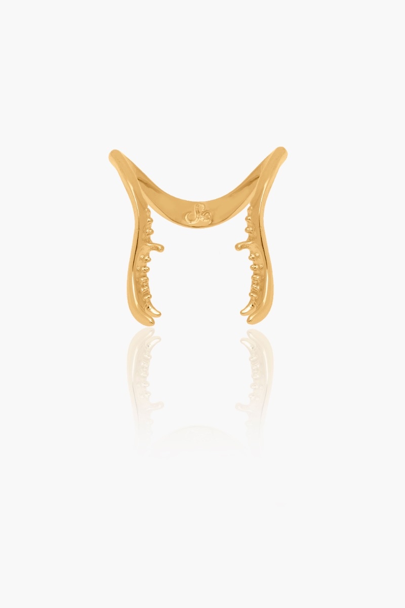 Gold Courage Ring 0