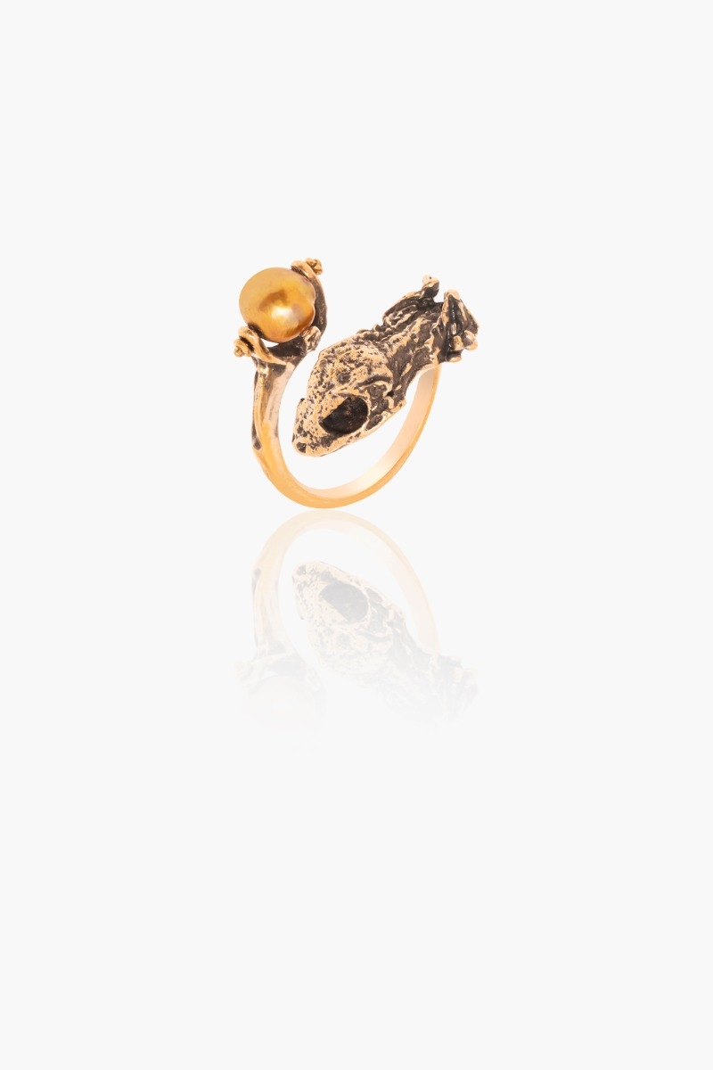 Anillo Isidora y el Tesoro 0