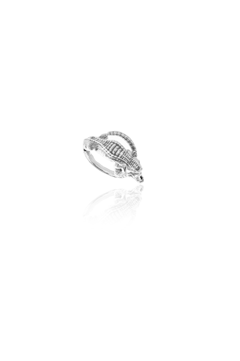 Charm Coco Plata 1