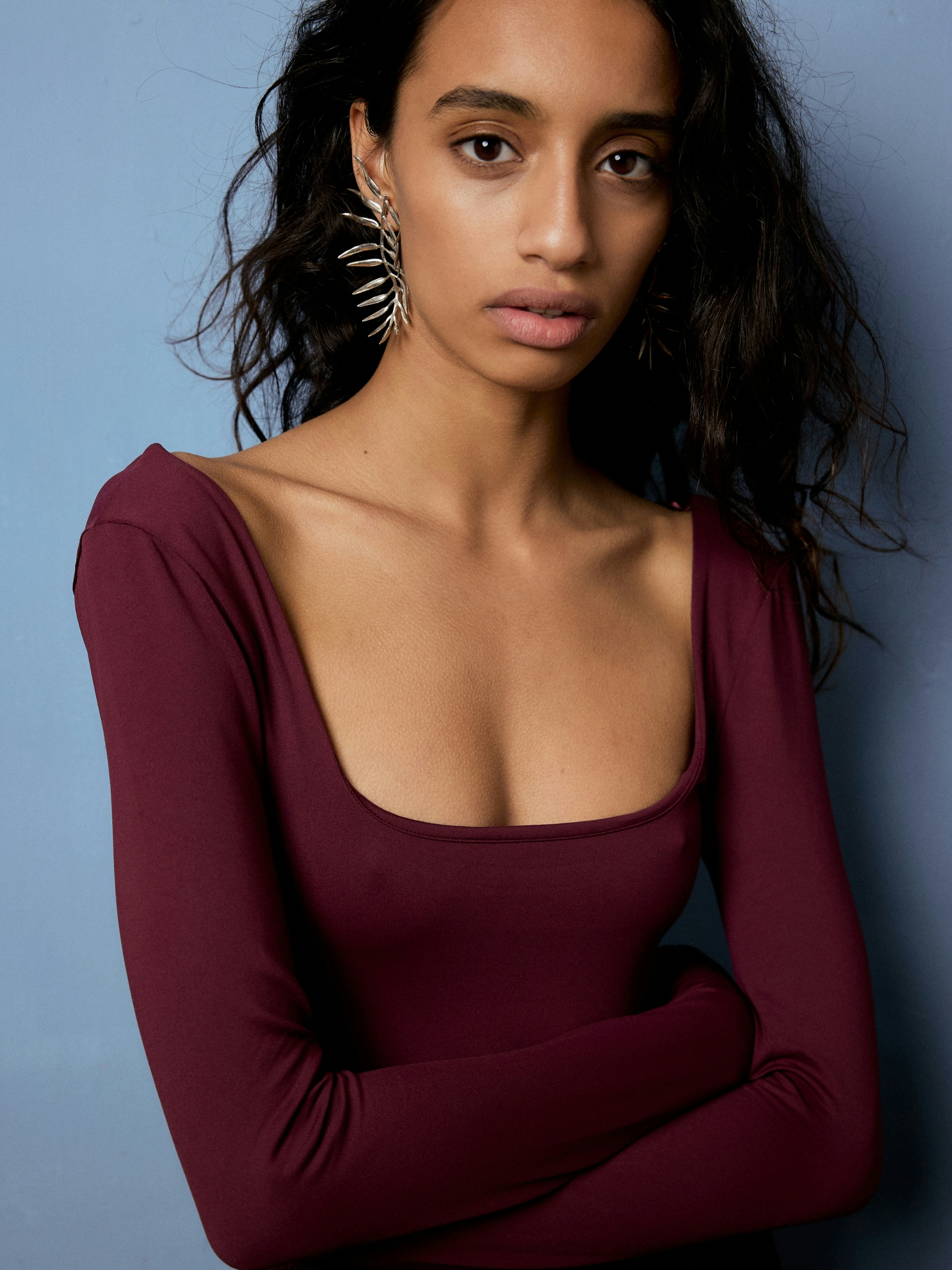 Silver Fern Earrings 0