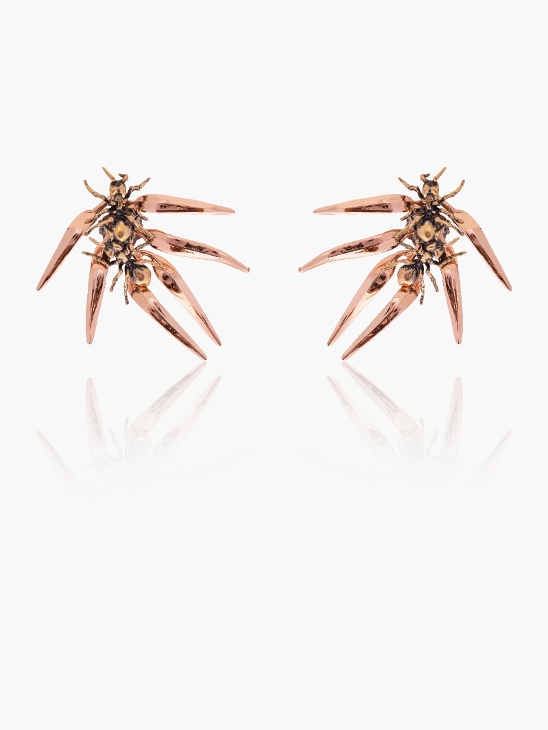Ants & Ferns Earrings 0