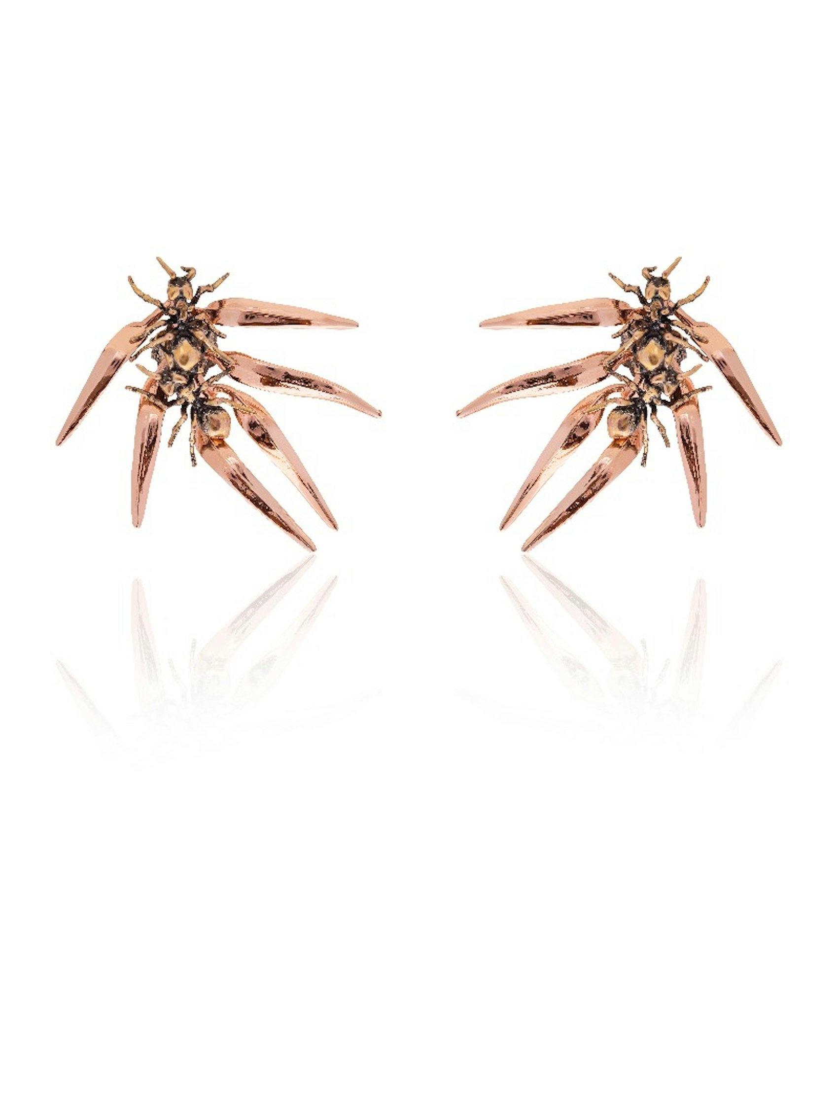 Ants & Ferns Earrings
