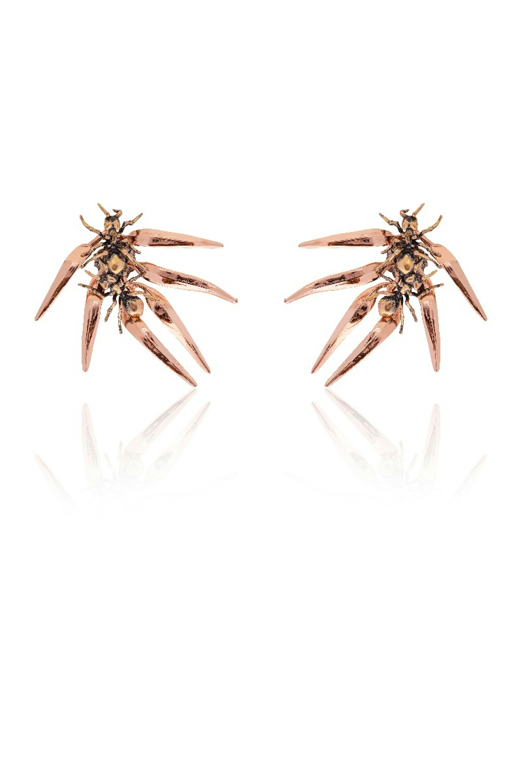 Ants & Ferns Earrings