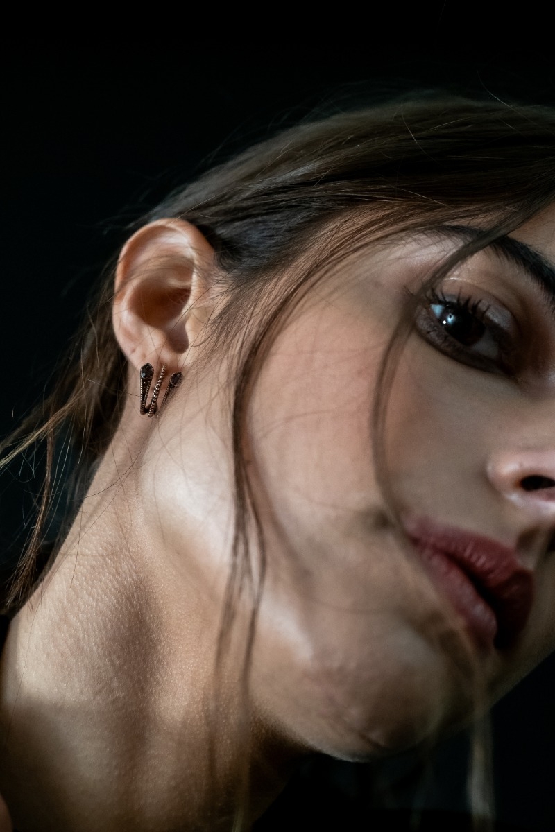 Meteorite Earrings 4